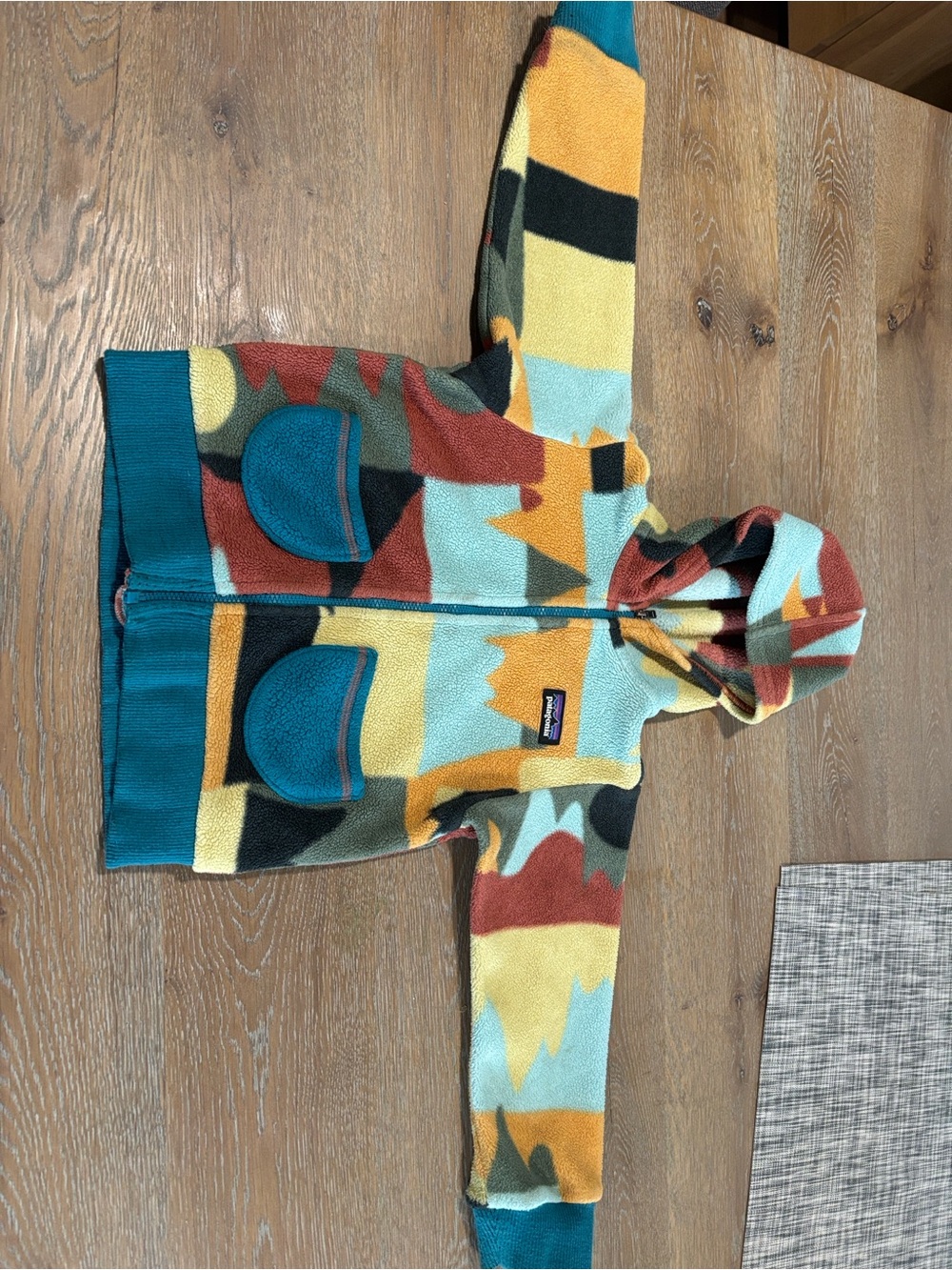 Patagonia Teal, Mustard, Rust & Black Colorblock Fleece Hoodie